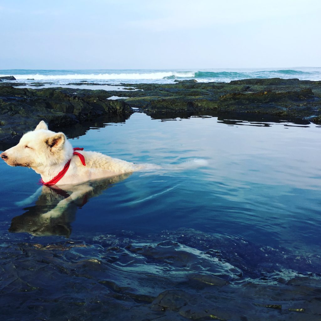 0b17dc2b-1131-4a4e-907e-03bf4f2f4b13-2