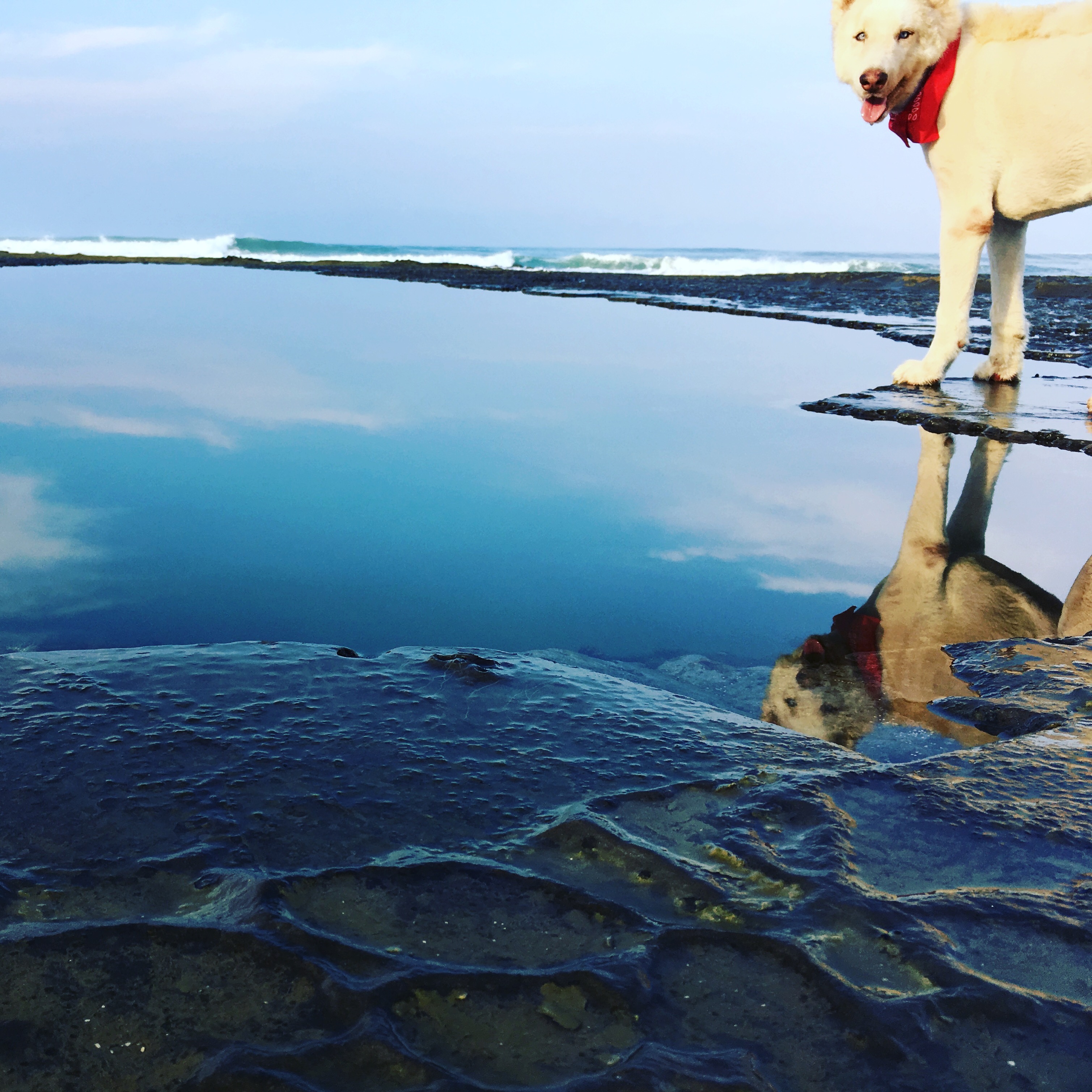 17c3b757-dfc9-41f4-b288-0720e4adf022-2