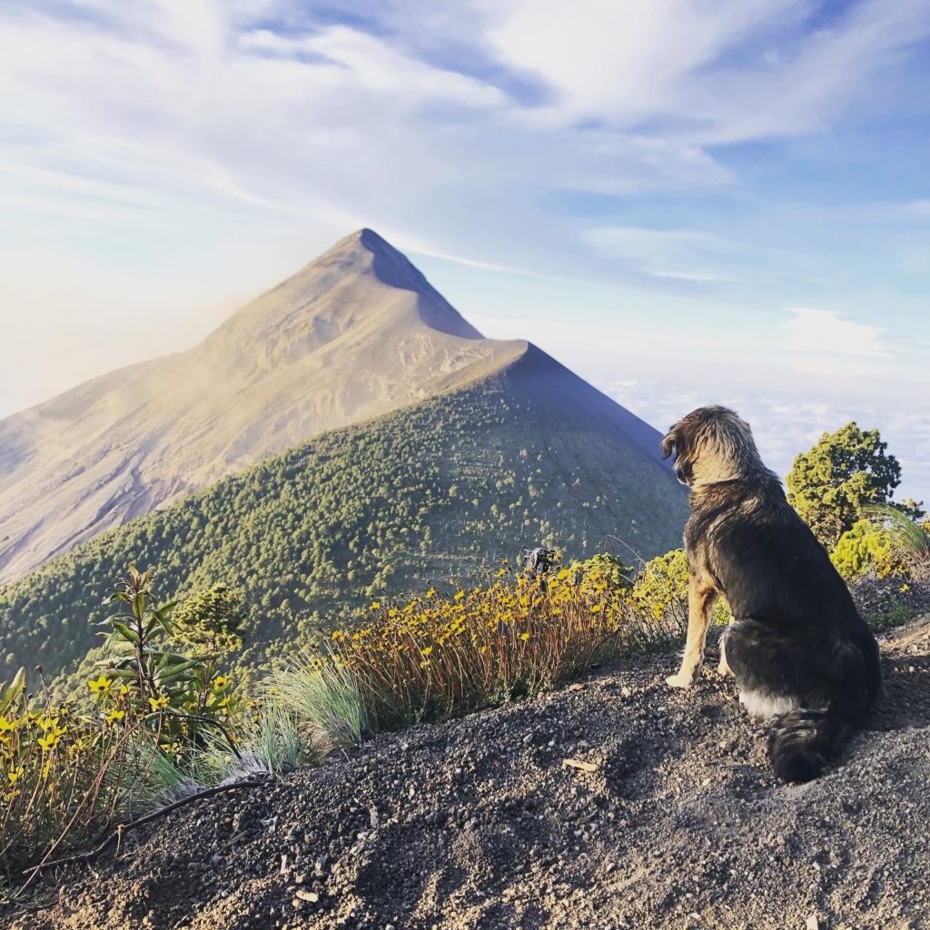 35836C97-3B6C-4BB8-B961-058A30EC9059