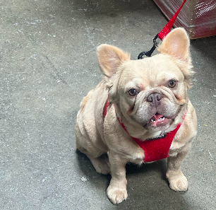 Screen Shot 2025-03-02 at 3.05.48 PM