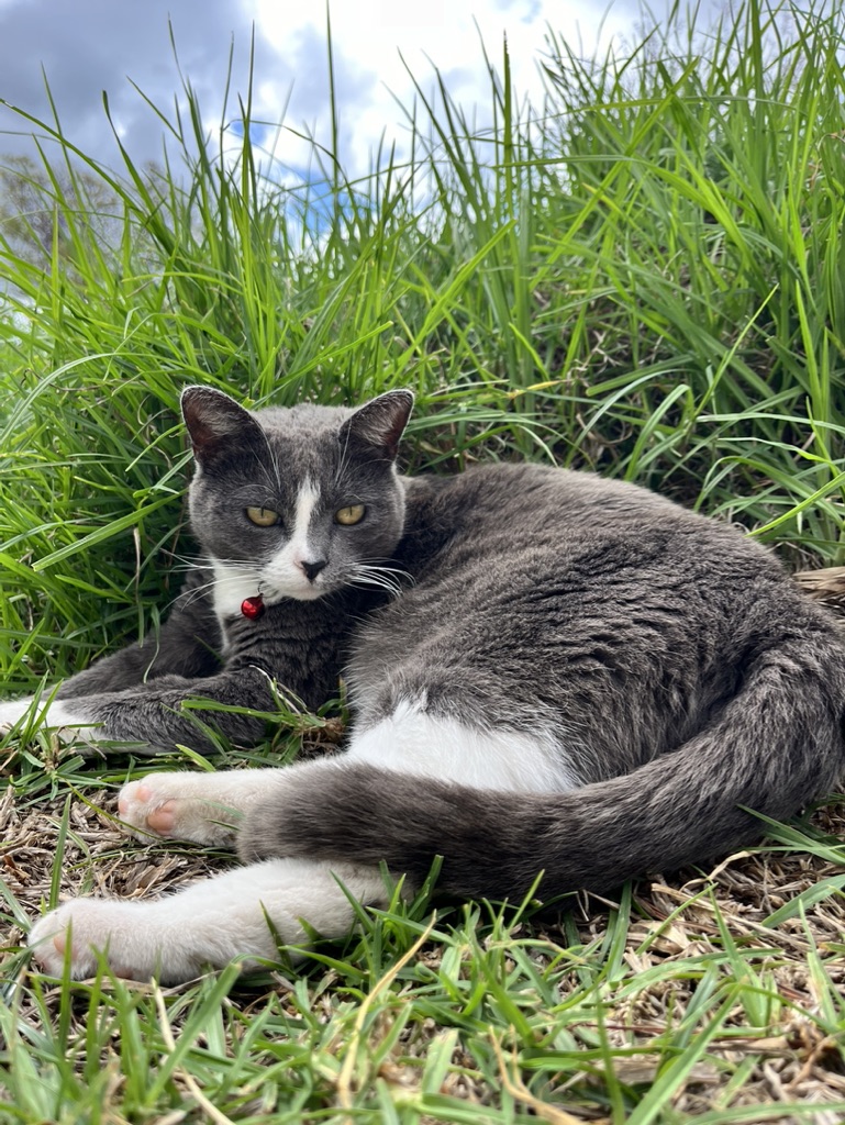 01AAFC2A-4FFC-4DCB-A4A2-8DCF8277BC00_1_105_c