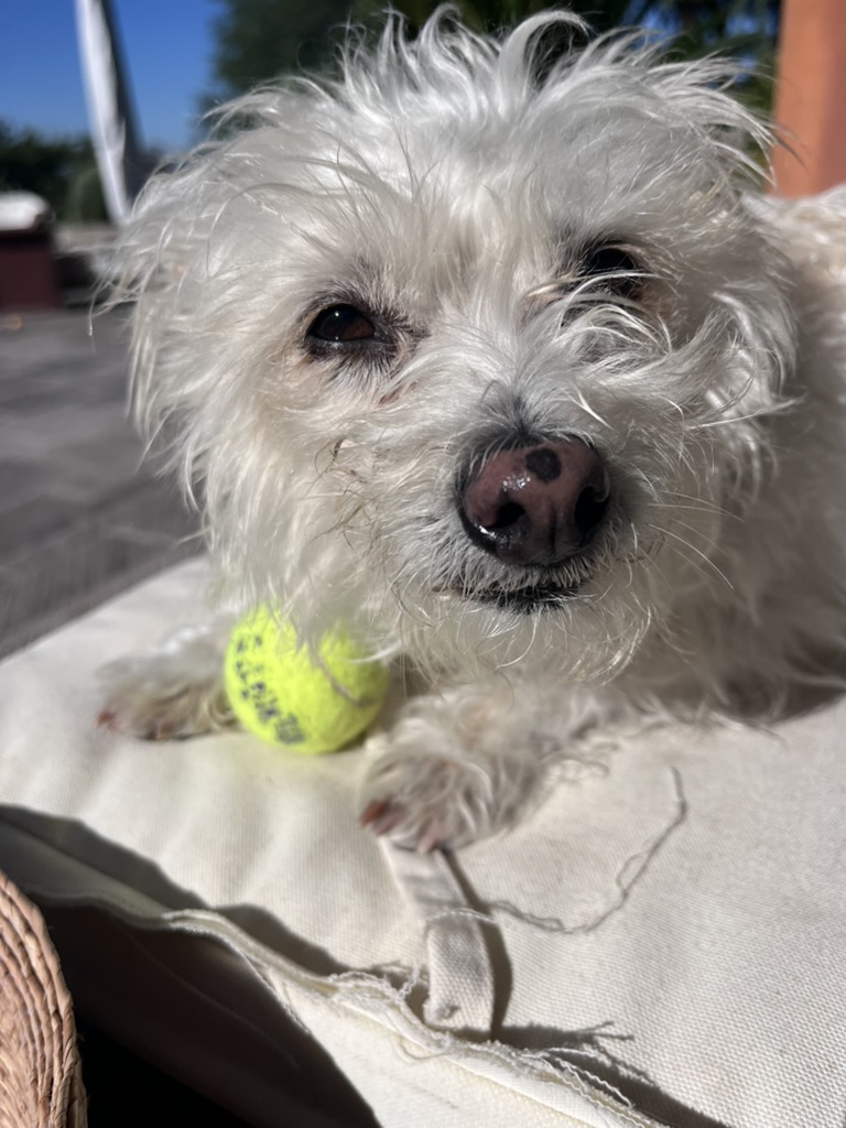 04CCF4A7-B218-41EB-B257-7D7A62ABC062_1_105_c