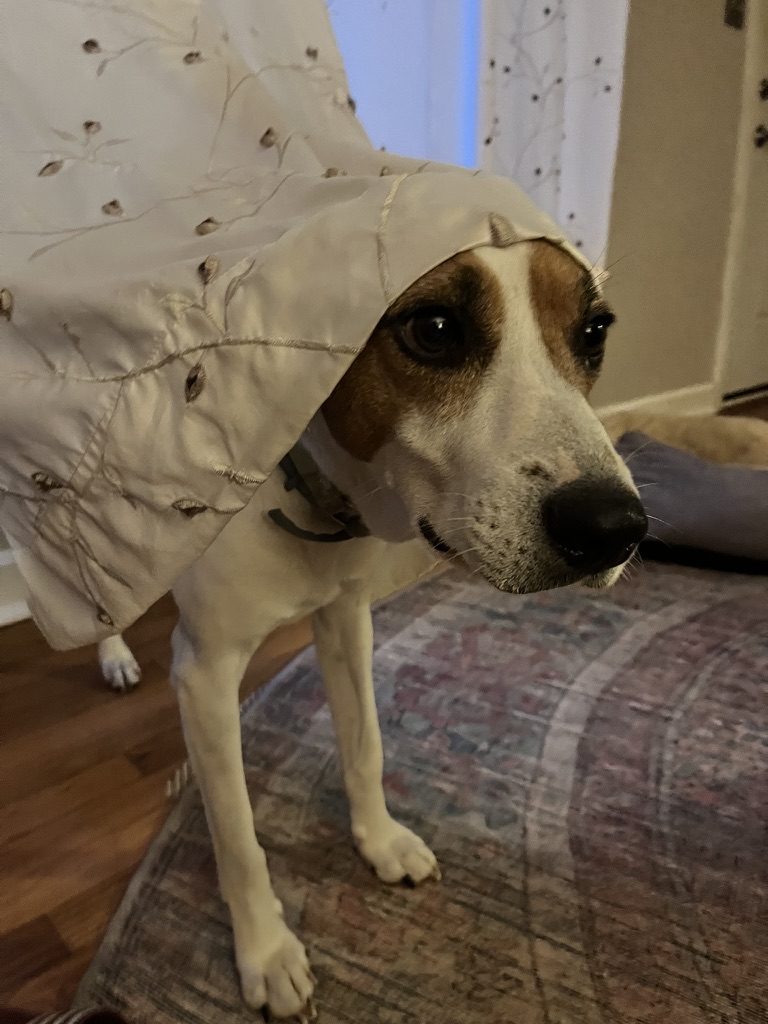 25D9D644-47E1-4E95-93F0-629BC196A282_1_105_c