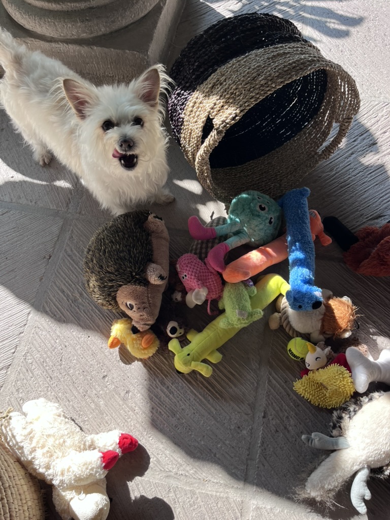 40152126-5267-450D-A34E-C4CBE55AFDA1_1_105_c