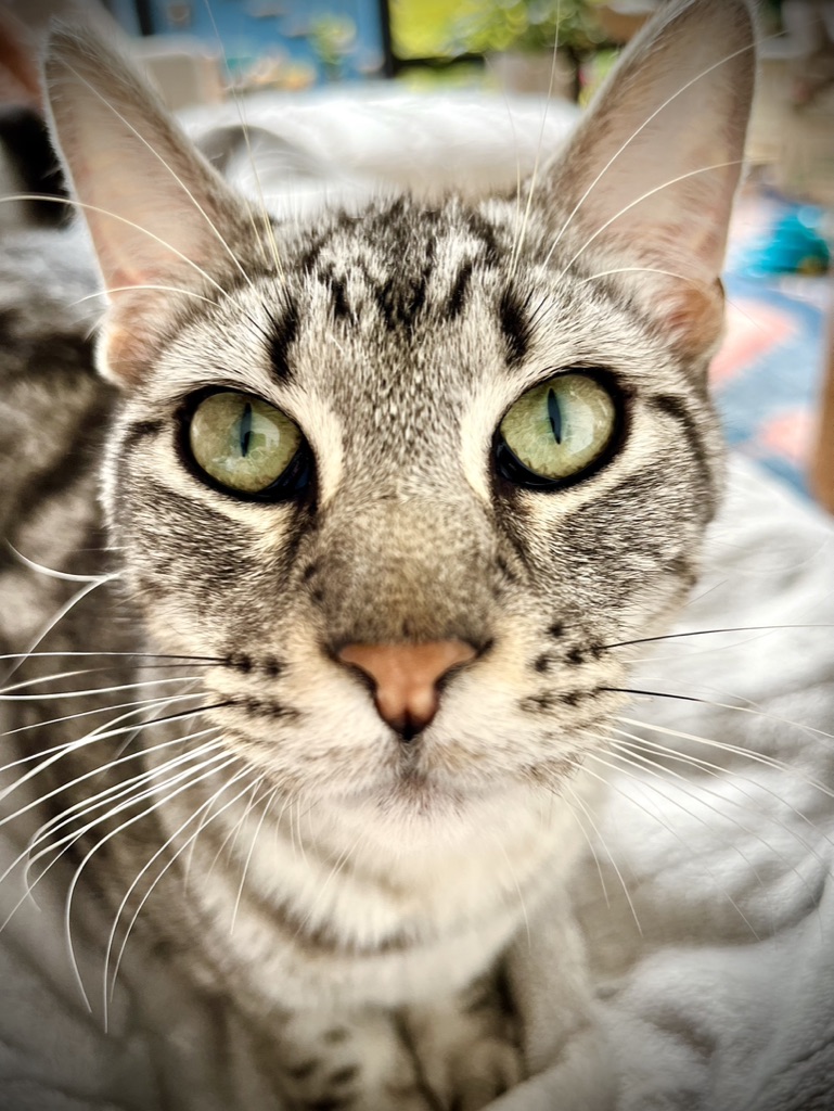 47BFEDA5-7771-4476-94AE-E53652ADF524_1_105_c