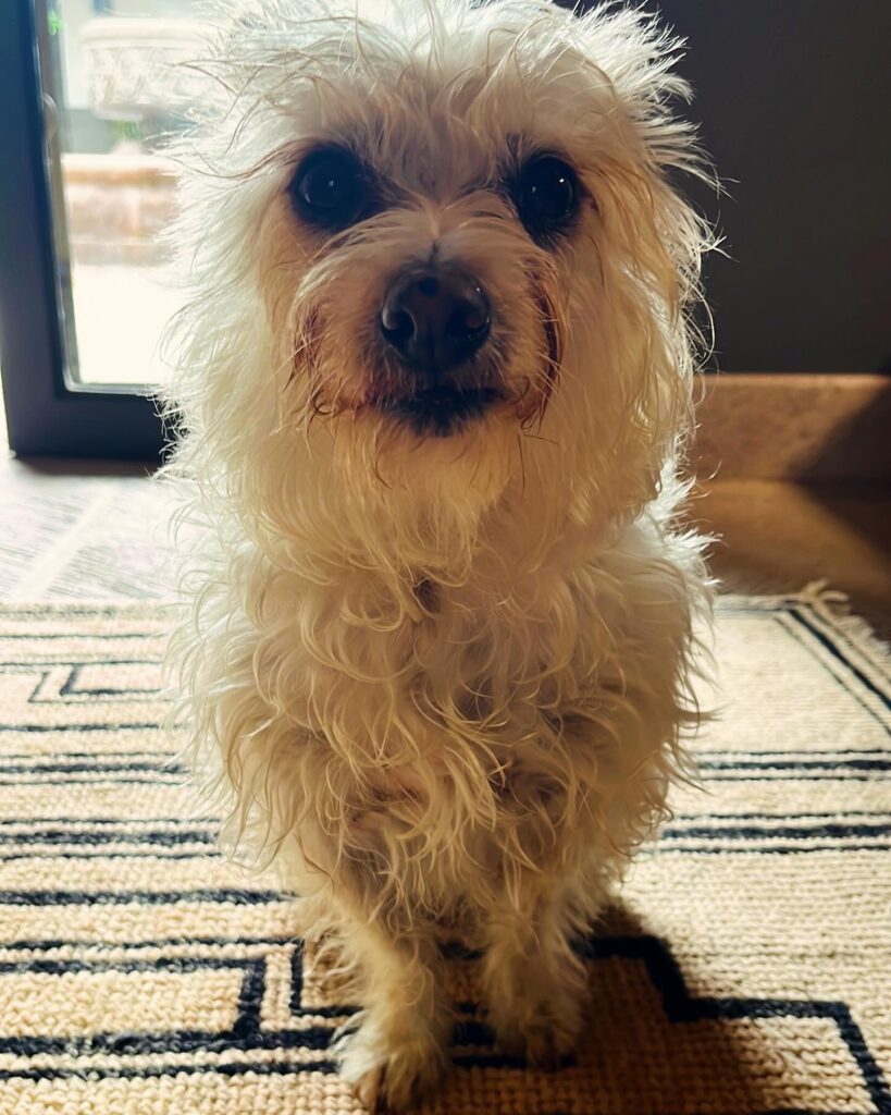 6F4EDD2B-3C3C-4F9A-A799-FD520C21A7E4