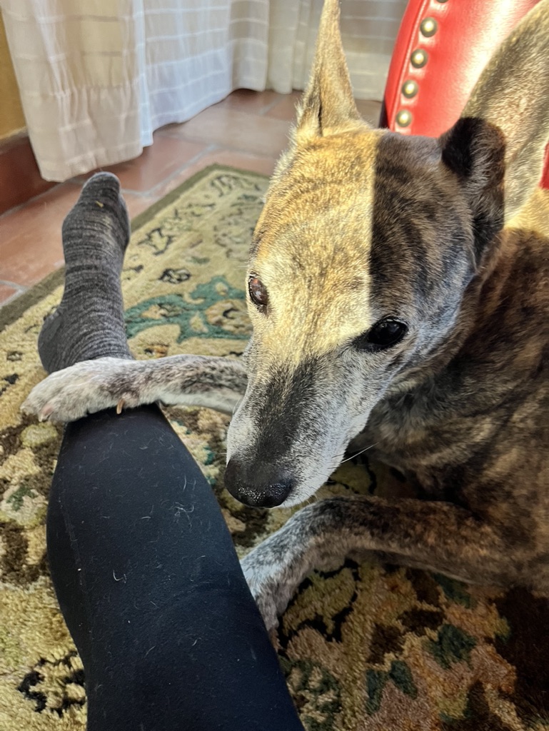 73E01523-12E6-424F-8EBB-E1ADB69CDC16_1_105_c