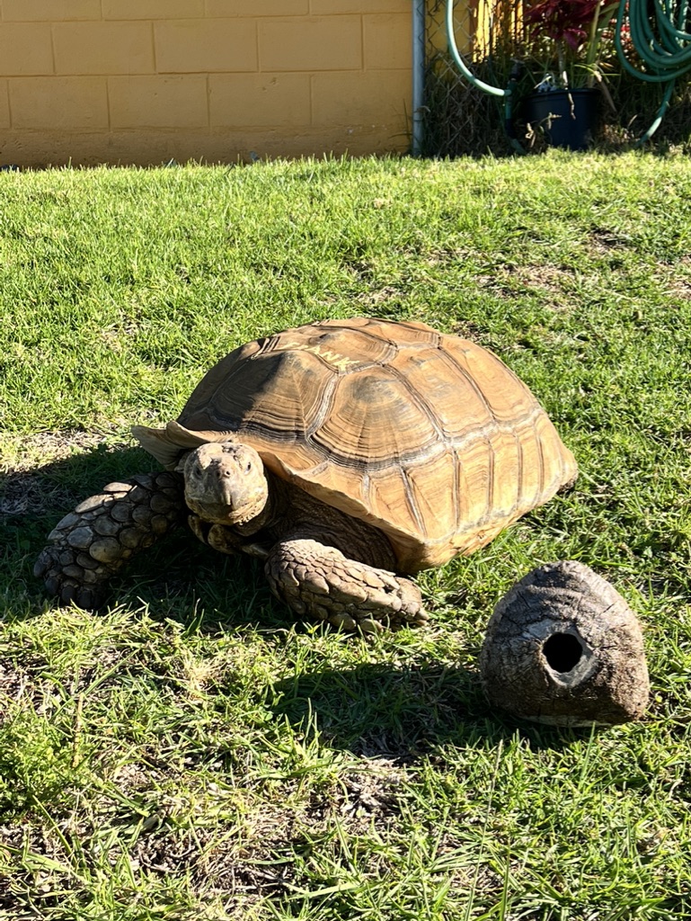 8FF48134-2013-4E4F-B2DB-A76F083F6A0A_1_105_c