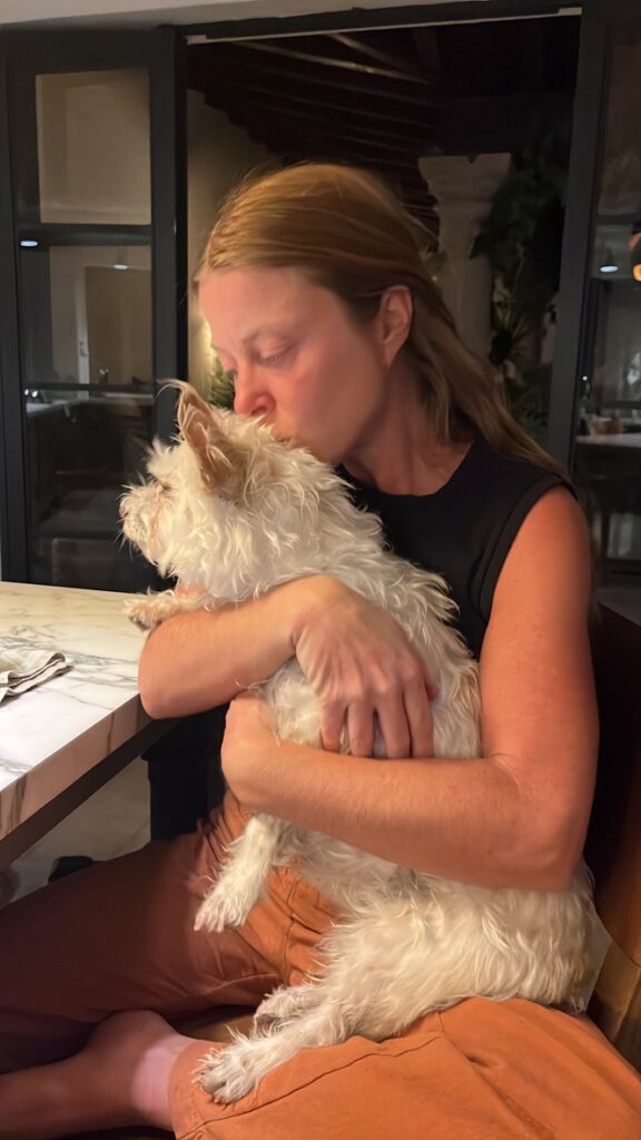 97CBD0A9-D40F-4AF2-B05C-9AD0D44701E1_1_105_c