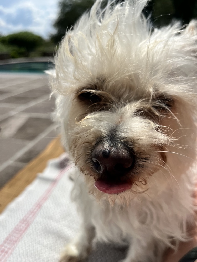 9944FE93-1FAA-4523-A3C4-2C1EC9D6962B_1_105_c