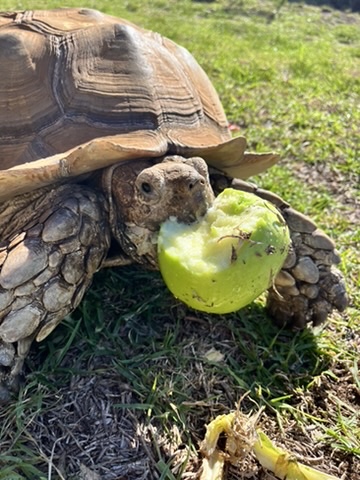 99E2CB7F-2FA8-4C75-B4B3-34BADC686FE6_4_5005_c