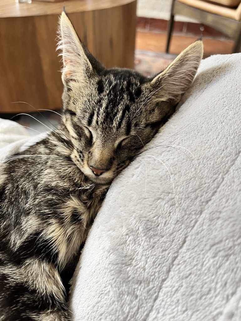 B727F6AF-D956-4E6A-A4CE-2ECE544609FA_1_105_c