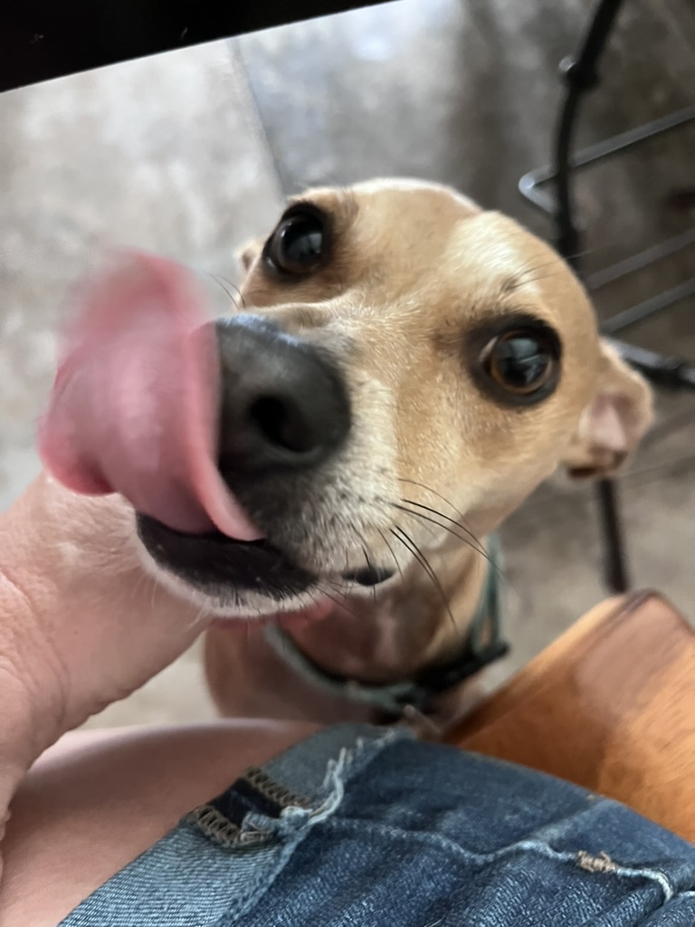 B8265AC6-14DE-4667-A6F3-F18289C1FDF3_1_105_c