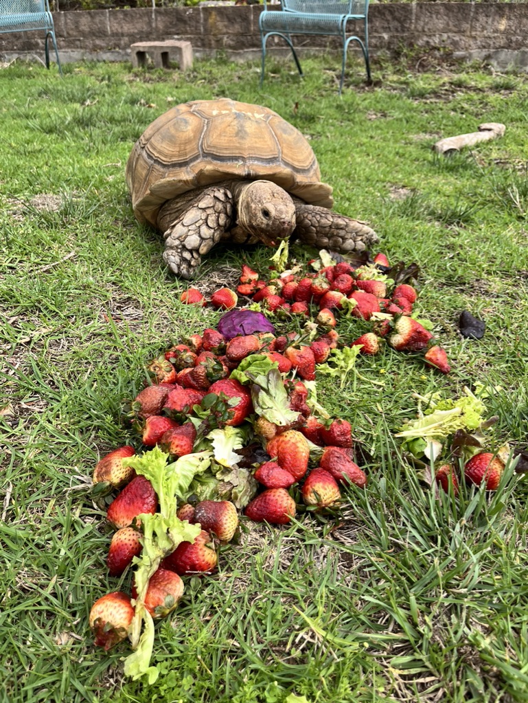 C18DA87C-6D94-437E-9BF2-924224E8C651_1_105_c