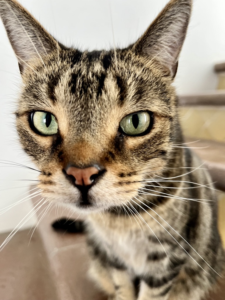 C6FD8F2E-B72A-4FBD-8E1A-8F91661DF93F_1_105_c