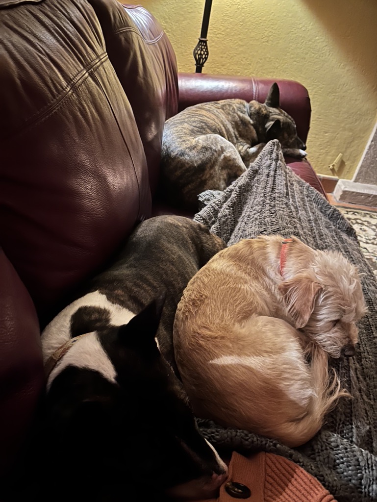 DA6D3CFC-504E-4157-AF61-E7D0AFF9FA62_1_105_c