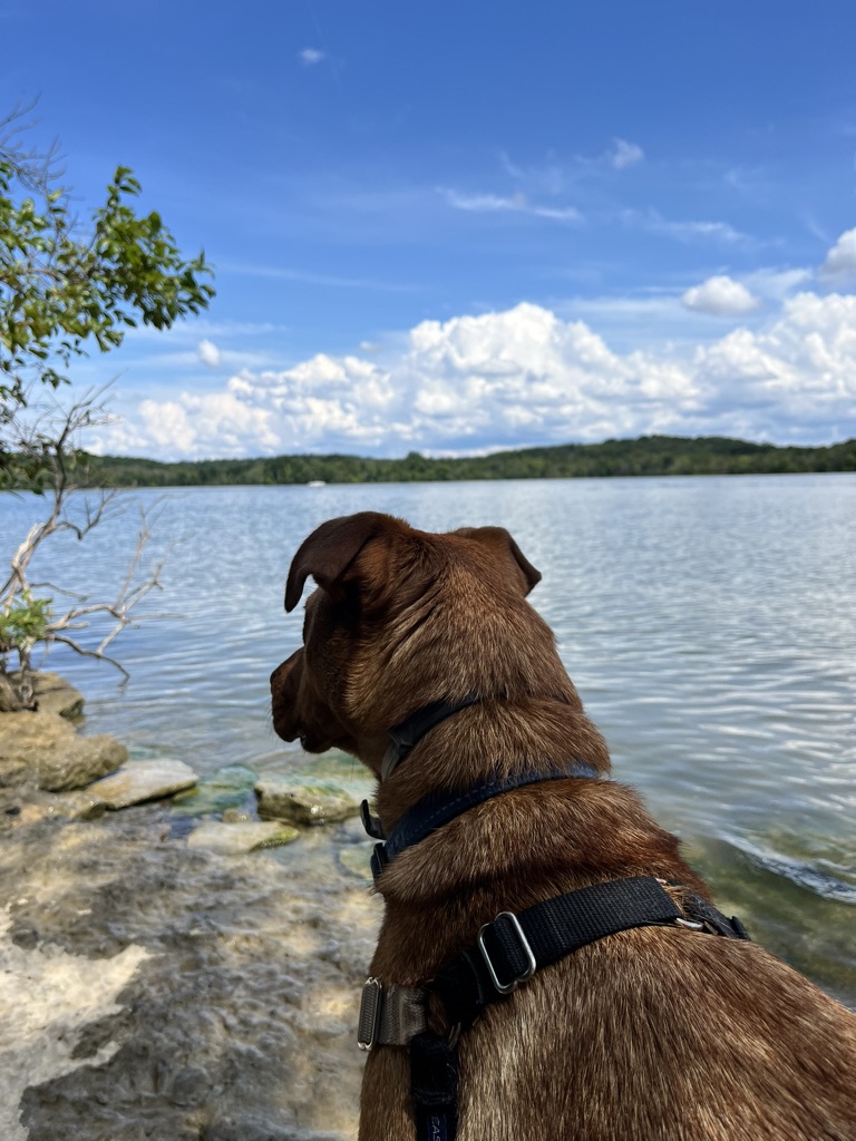 F7BE237A-6C0C-4B5B-A92B-E19D3FEC8B20_1_105_c