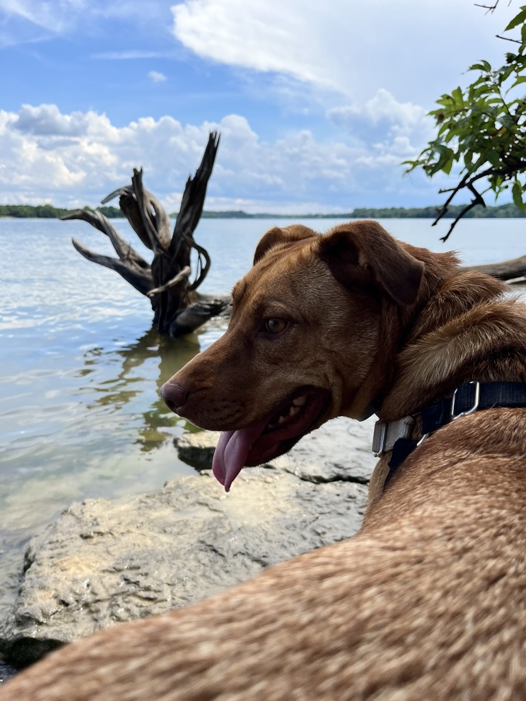 FBCB0450-4200-4AFB-9BC3-DE4FADC9B4BC_1_105_c